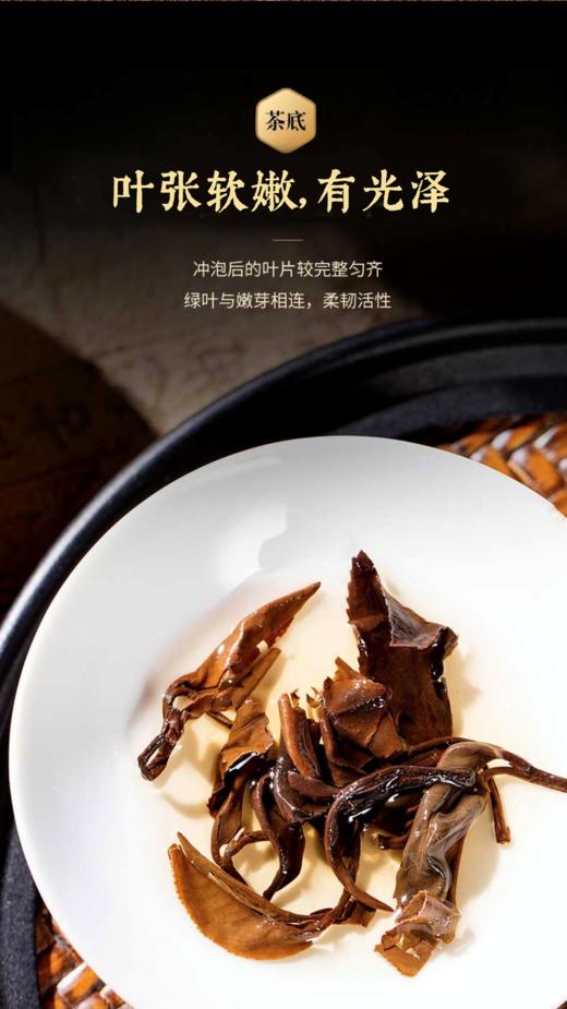 【强韵CCTV展播品牌】马年限定老白茶礼盒【爆仓3-5发货】 商品图8