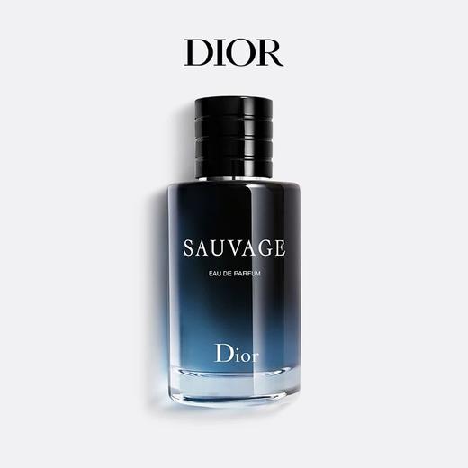 Dior迪奥旷野 男士香氛香水100ml 香港直邮 商品图2