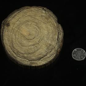 BC.NF1.9-7  文莱八分沉原料，93.83g