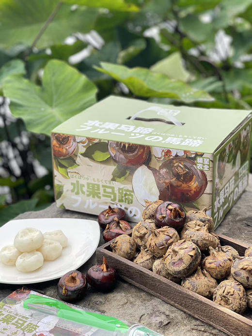 空运✈️水果马蹄
生吃是水果，熟吃是良yao，具有清热下火、清热除燥、润肺zhike等功效，脆甜多汁，被称为“润燥之果”
一箱净果4斤 商品图1