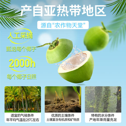 优鲜椰子水1L*2瓶【积分兑换】（直接饮用） 商品图2