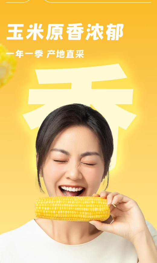 【金皇会员49金币专享】十月稻田 黄甜糯玉米 8根 3.52斤 真空包装 东北粘玉米棒 低脂早餐 商品图9