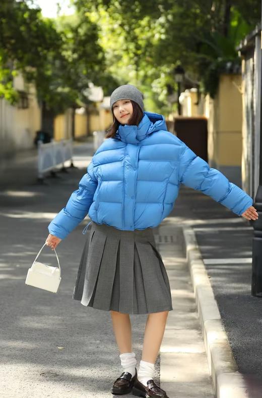 波司登同款三防同里同料时尚小龟背白鹅绒羽绒服 商品图0