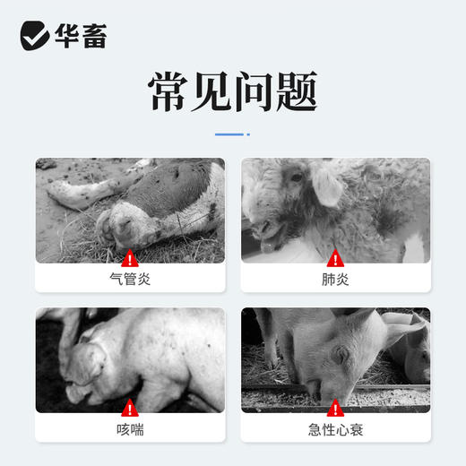 华畜氨茶碱注射液 平喘药 针对性强 省力长效 商品图1