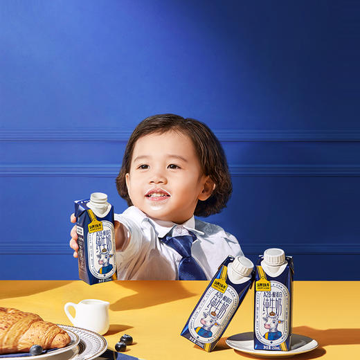 认养一头牛 A2纯牛奶250ml×10盒梦幻盖 商品图1