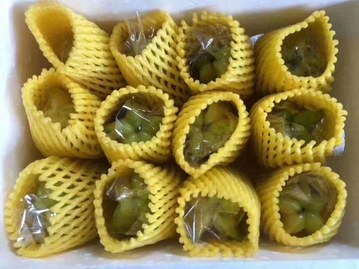 产地直发 一口爆汁的海南杨桃! 星星果颜值担当 #清爽爆汁必囤  京东空运3斤5斤 商品图8