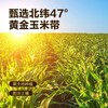 【金皇会员105金币专享】西王 食用油 玉米胚芽油6.18L 零反式脂肪 非转基因含维生素E 商品缩略图4