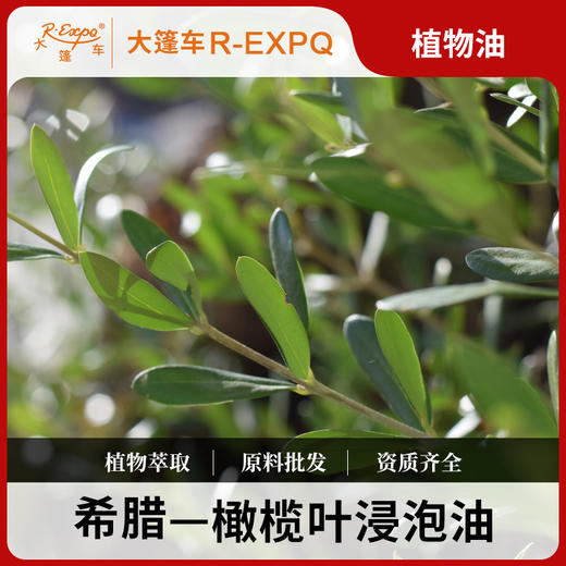 橄榄叶浸泡油 希腊进口原料批发身体按摩SPA基础植物精华油 商品图0
