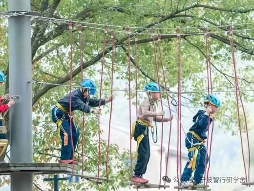 【智行研学】寒假研学营！ 商品图6