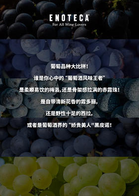葡萄品种大比拼！！！