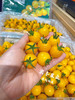 【宏丰精选】黄金千禧新鲜到货，口感很好，纯甜，活动价15.8元一斤 商品缩略图2