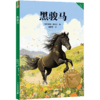 黑骏马（科学分级，贴合孩子成长认知；合理的书目配置，母语学习更高效；童趣设计，让孩子爱上阅读；超值配套服务，家长省心更放心） 商品缩略图0