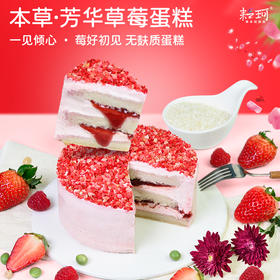 耘珂 新鲜冷冻 素食生日蛋糕 儿童蛋糕