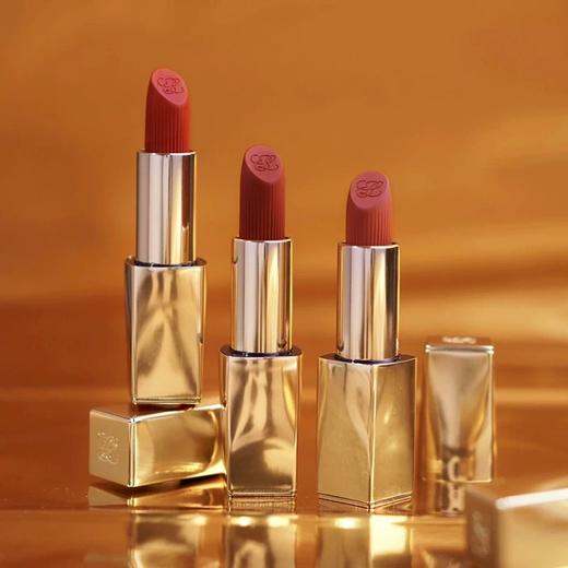 【天生闪耀】雅诗兰黛金管唇膏 商品图2