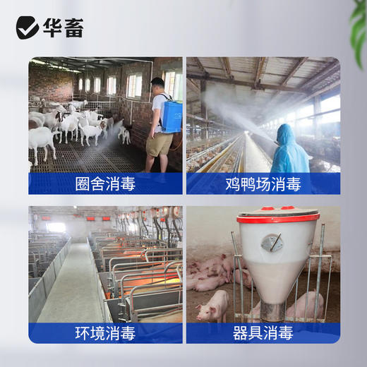 华畜兽药 戊二醛癸甲溴铵溶液 复合型消毒更彻底 协同增效 抗干扰 渗透性强 商品图4
