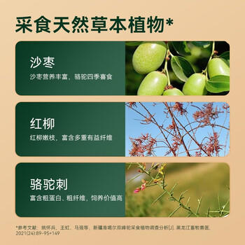 京东京造 鲜来多纯骆驼乳粉礼盒（300g*2罐）阿拉善奶源年货礼盒 /水饮冲调 /成人奶粉 /驼奶粉 商品图2