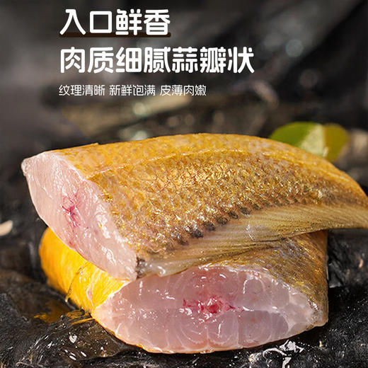 【纯野生 3袋装】舟选 舟山小黄鱼 低脂高蛋白 源头直供 纯野生 码头直达 肉多刺少 肉质细腻 500g*3袋 商品图2