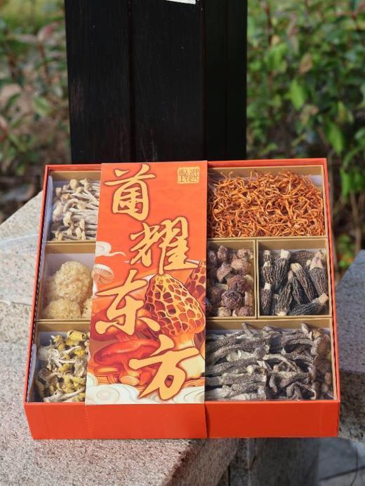 新年好礼九养芝菌耀东方菌菇礼盒 商品图4