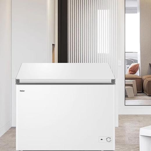 Haier冰柜BC/BD-303GHPDZ家商两用大冷冻柜303L大冻力3D逆循环商用冰柜 商品图4