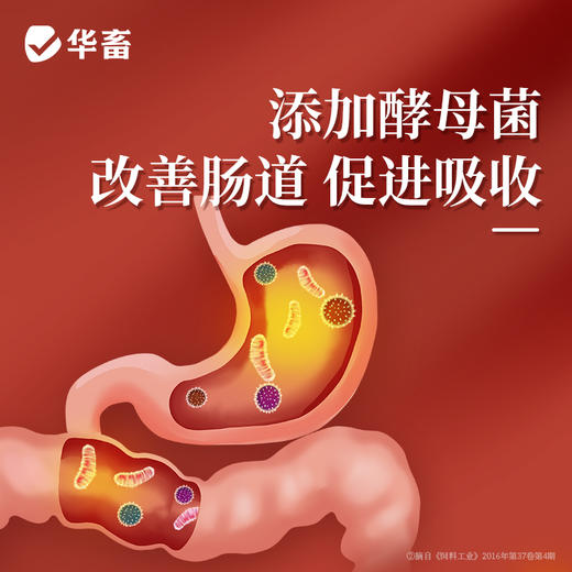 华畜山楂酵母粉1kg 开胃健脾改善肠道 商品图3