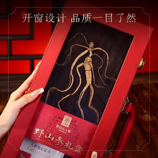 【长白山人参】秋冬养身 元气之选，源自长白山 道地品质，日常保养好精神，生晒参 红参 林下参 均送礼袋 商品图7