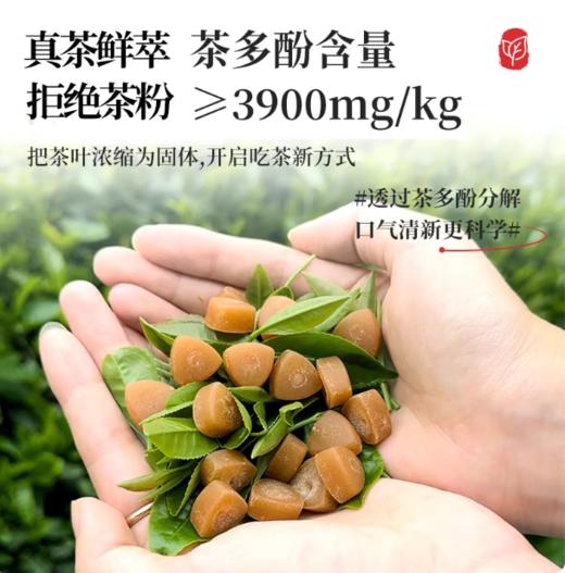 茶口乐茶叶含片27克 蜜桃乌龙茉莉清新口气草本萃取茶多酚含片 商品图5