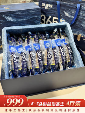 【春节好礼】999元4斤鲜食海参王
