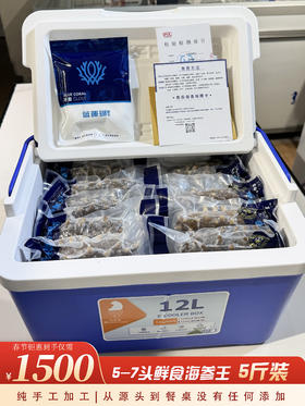 【春节好礼】1500元5斤鲜食海参王