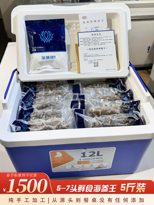 【春节好礼】1500元5斤鲜食海参王 商品图0