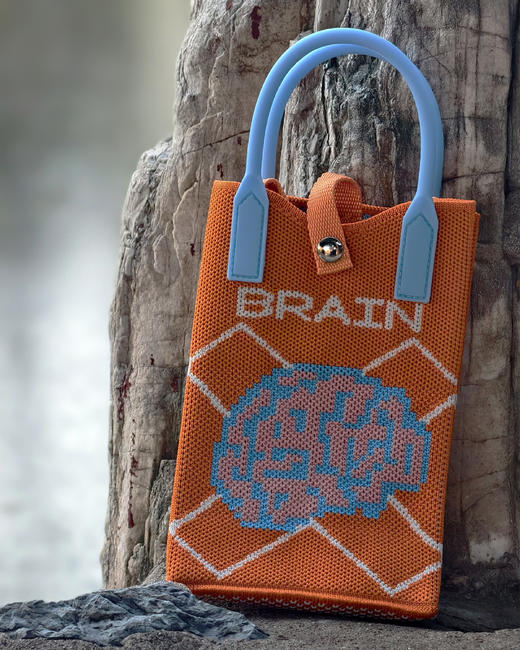 [人卫文创]手机包大脑款（送挂件） 商品图2