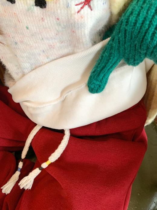 <曾小咸推荐>现货秒杀 ！微信超特价！韩系字母刺绣加绒卫衣 日常199.99 立减110 秒杀89.99！！ 商品图6