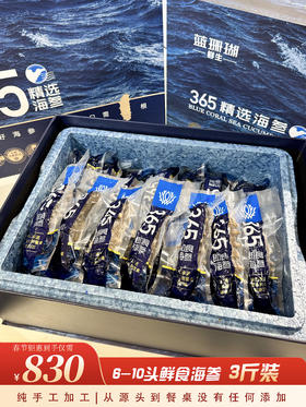 【春节好礼】830元3斤鲜食海参