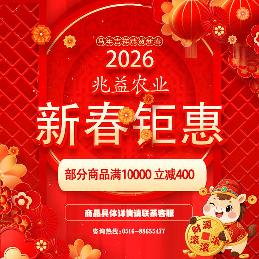 26新春钜惠单笔订单满10000立减400 商品图0