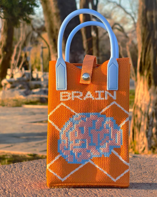 [人卫文创]手机包大脑款（送挂件） 商品图0