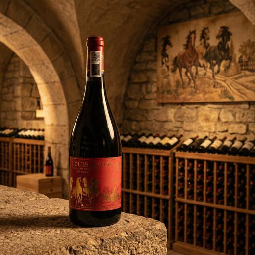路易拉菲国博·马跃星河干红葡萄酒 商品图4
