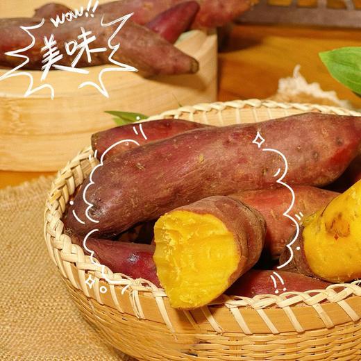 海南富硒【小番薯】沙土种植，新鲜采挖！糯！香！甜！皮薄如纸，粉糯香甜，自然生长，无农药化肥！ 商品图3