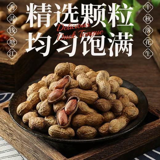 【村书记进城卖山货】奋求香脆好事花生 传统秘制 更香更入味 商品图1