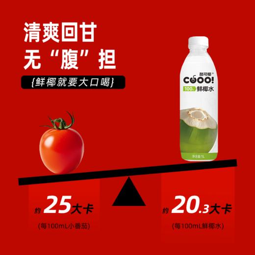 【酷可椰】100%鲜椰水1L家庭分享装 商品图2