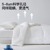 舒飘儿pure物理阻螨纯棉被芯【佳人严选】 商品缩略图3