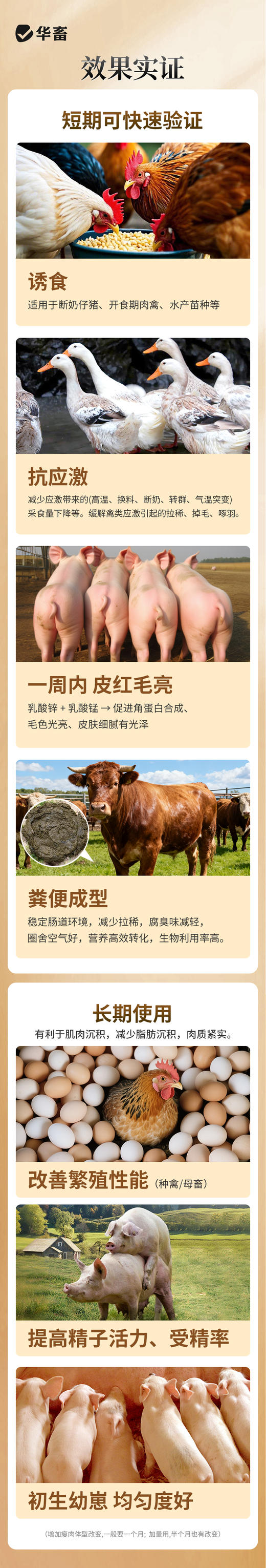 增肌重水 诱食抗应激一周内皮红毛亮分辨成型 商品图3