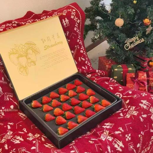 【顺丰空运】丹东红颜99号草莓 丹东产地基地现摘现发  甄选品质 每颗都是优中选优 饱满多汁 - BYKSG 商品图1