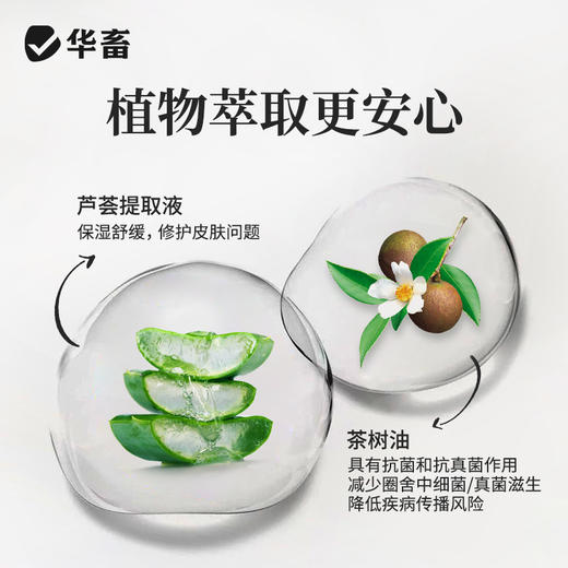 华畜养殖场生物除臭剂猪牛羊鸡场鸭棚猪场鸡舍除氨气兽用消毒液 商品图2