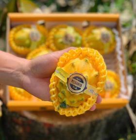 【会员28.5/颗】海南空运麒麟燕窝果 大果 300g/颗