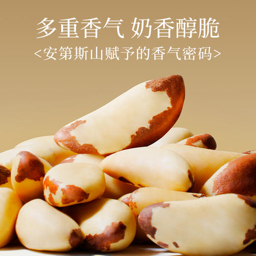 新农哥大颗粒鲍鱼果300g/罐颗粒饱满 商品图5