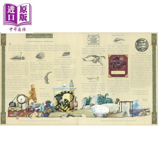 预售 【中商原版】龙之书 龙的完全指南 Dragonology The Complete Book of Dragons Ologies 英文原版 Ernest Drake 商品图1