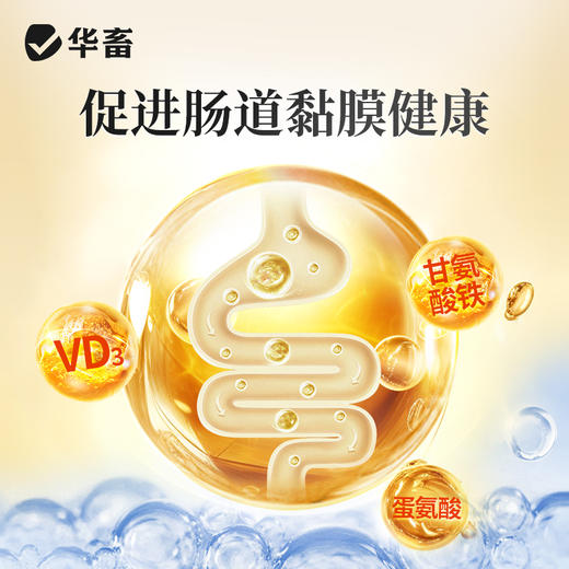 华畜-泻立停500g猪牛羊鸡鸭鹅调理肠道预防拉稀 商品图2