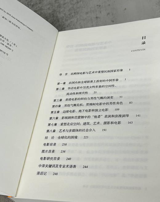 流动的世界想象——中国当代电影与视觉文化 商品图5