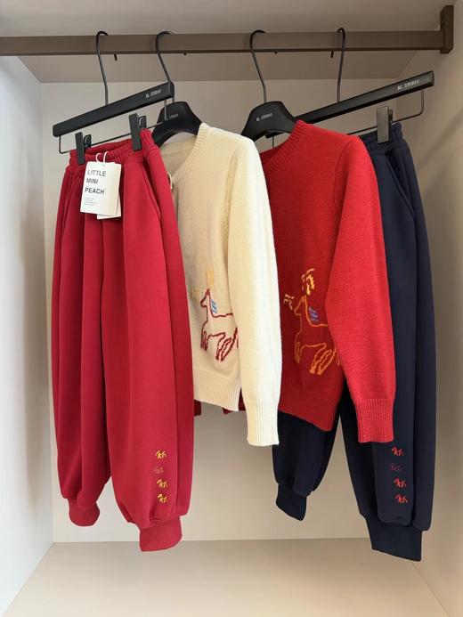 F011371儿童马年元素刺绣图案服装羊毛衫+灯笼裤套装 商品图3