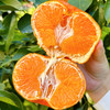 【2026新鲜上市】四川新品甘平柑橘皇后   皮薄多汁 个大香甜 商品缩略图0