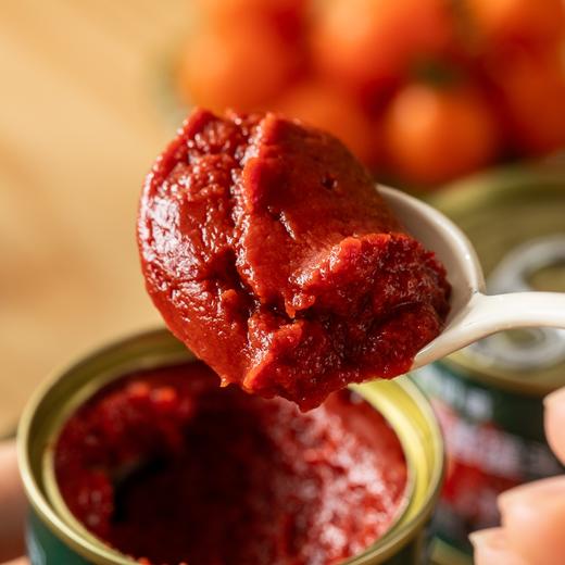 新疆番茄酱罐头|配料仅有新疆新鲜番茄，家里有它10分钟开饭！ 商品图5